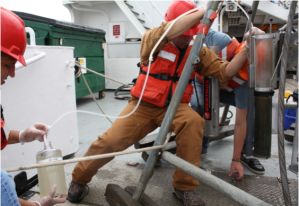 Siphoning overlying bottom water from sediment cores.  (Photo by Diana Steller)