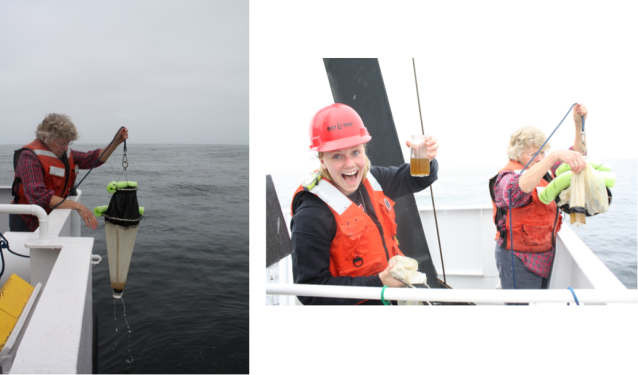 (Left) Sara Tanner reels in the neuston tow. (Above) Graduate Student Holly Chiswell is rather pleased with her sample. (Photos by Diana Steller)